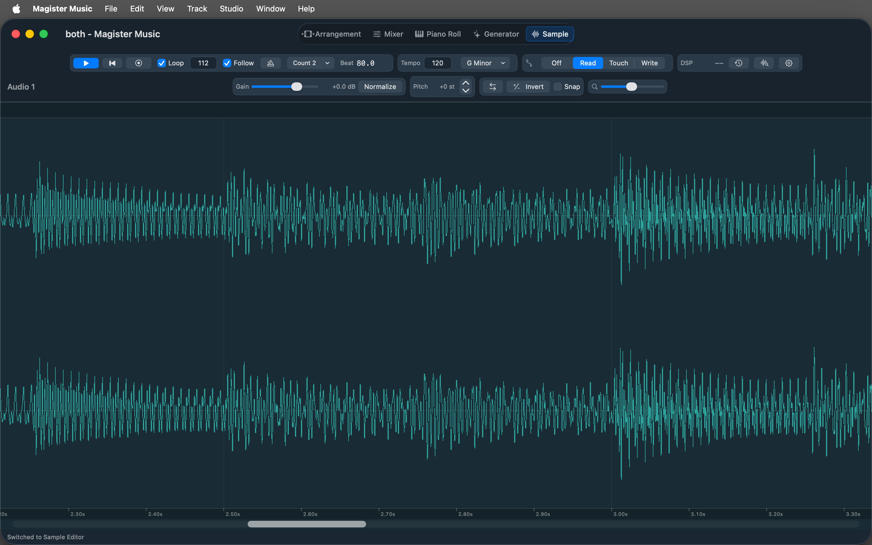 Magister Music sample view screenshot